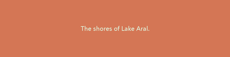 The shores of Lake Aral.