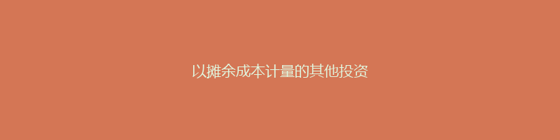 以摊余成本计量的其他投资