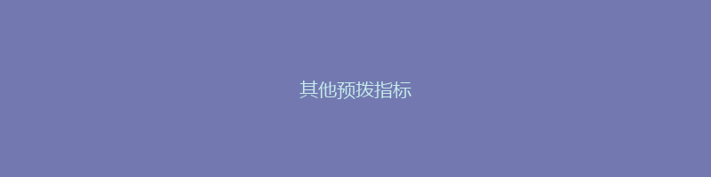 其他预拨指标