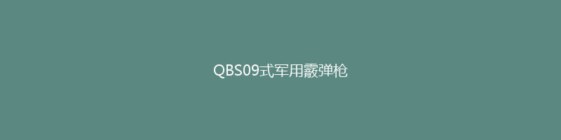 QBS09式军用霰弹枪