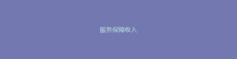 服务保障收入