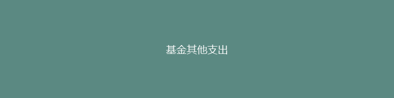 基金其他支出