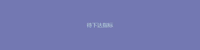 待下达指标