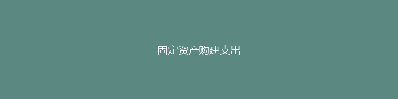 固定资产购建支出