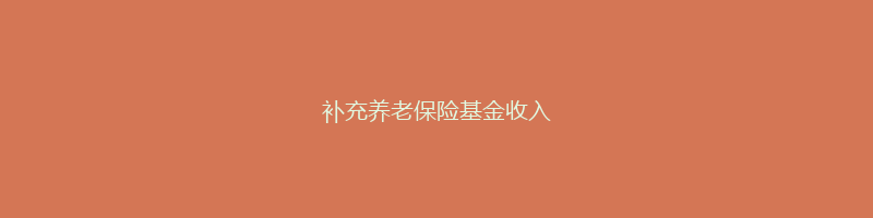 补充养老保险基金收入