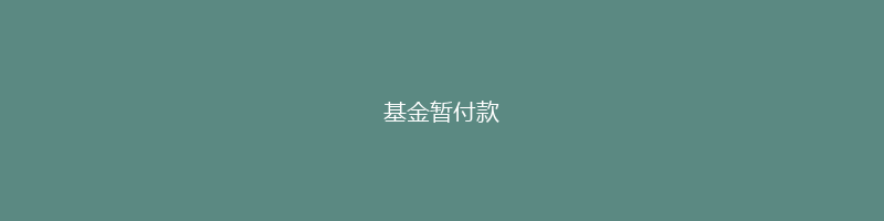 基金暂付款