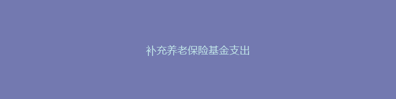 补充养老保险基金支出