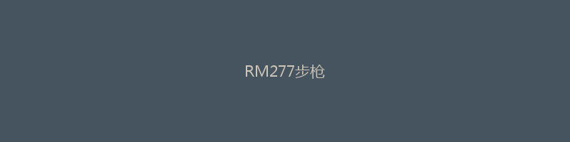 RM277步枪