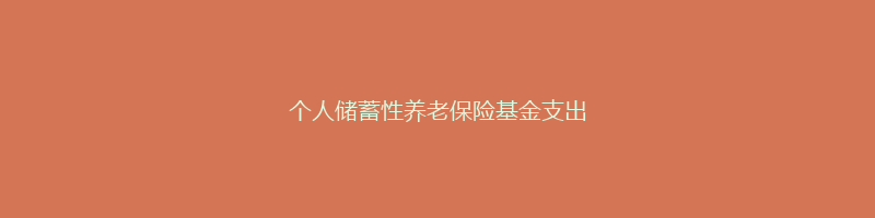 个人储蓄性养老保险基金支出