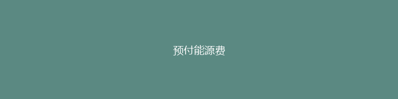 预付能源费