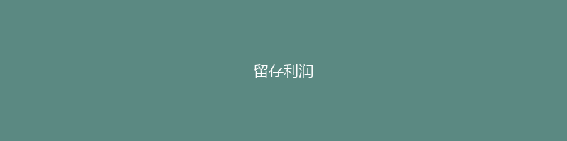 留存利润