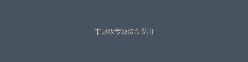 非财政专项资金支出