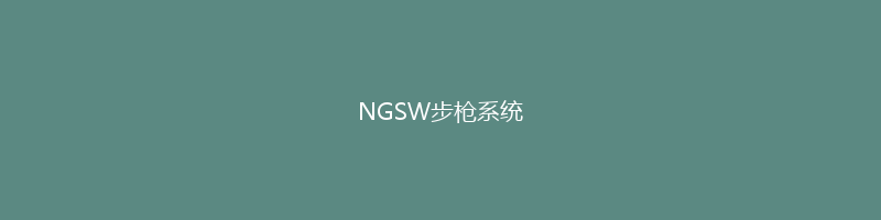 NGSW步枪系统